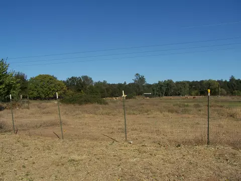 7045 Churn Creek Rd, Redding, CA 96002 photo 31