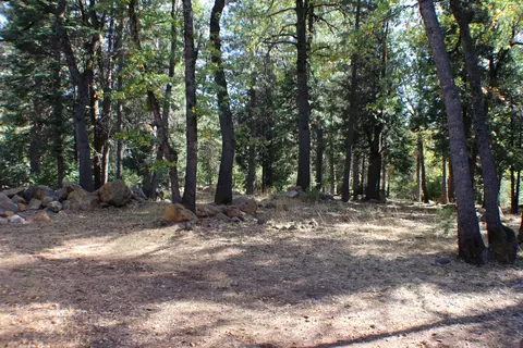 36380 Deer Flat Rd, Shingletown, CA 96088 photo 36