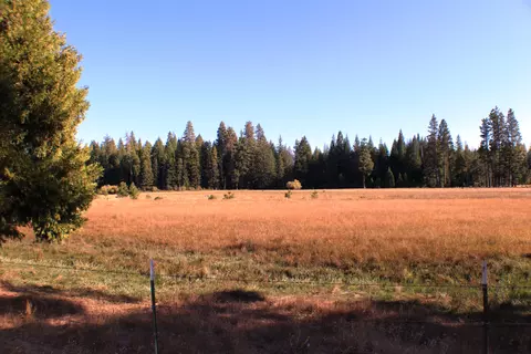 36380 Deer Flat Rd, Shingletown, CA 96088 photo 42