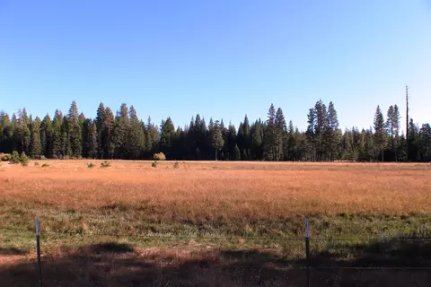 36380 Deer Flat Rd, Shingletown, CA 96088 photo 43
