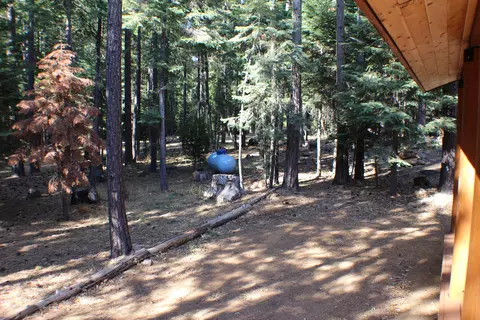 36380 Deer Flat Rd, Shingletown, CA 96088 photo 37