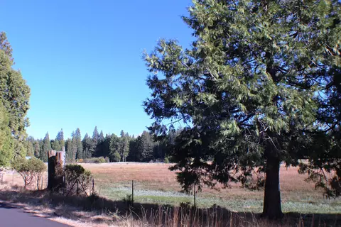 36380 Deer Flat Rd, Shingletown, CA 96088 photo 40
