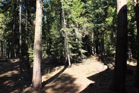 36380 Deer Flat Rd, Shingletown, CA 96088 photo 38