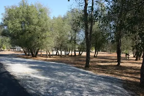 13510 Manzanillo Way, Redding, CA 96003 photo 60
