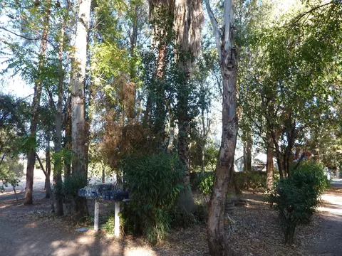 2805 Churn Creek Rd, Redding, CA 96002 photo 15