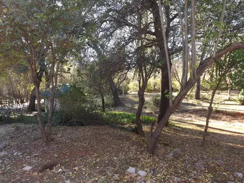 1955 Herbscenta Ln, Redding, CA 96003 photo 22