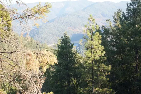 1990 Upper Moore Gulch, Trinity Center, CA 96041 photo 24