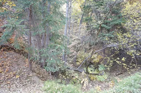 1990 Upper Moore Gulch, Trinity Center, CA 96041 photo 12