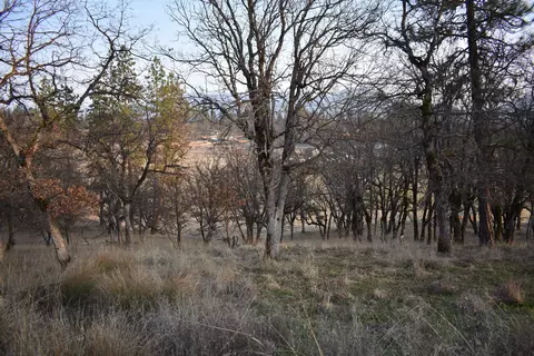 340 Horse Tail Hill Rd, Hayfork, CA 96041 photo 5