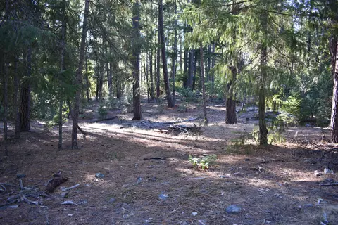 461 Farmer Ranch Rd, Hayfork, CA 96041 photo 2
