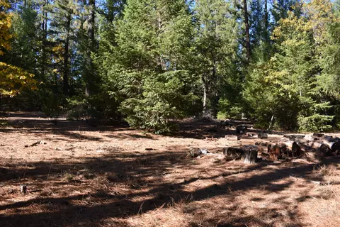 461 Farmer Ranch Rd, Hayfork, CA 96041 photo 18