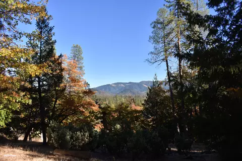 461 Farmer Ranch Rd, Hayfork, CA 96041 photo 10