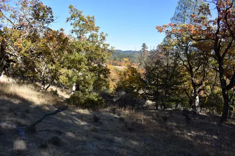 461 Farmer Ranch Rd, Hayfork, CA 96041 photo 7