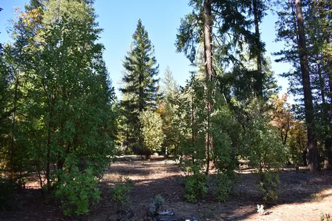 461 Farmer Ranch Rd, Hayfork, CA 96041 photo 5