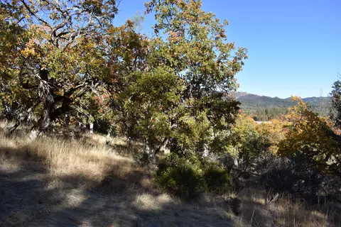 461 Farmer Ranch Rd, Hayfork, CA 96041 photo 6