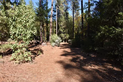 461 Farmer Ranch Rd, Hayfork, CA 96041 photo 19