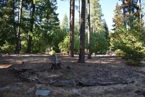 461 Farmer Ranch Rd, Hayfork, CA 96041 photo 8