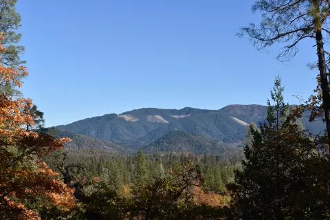461 Farmer Ranch Rd, Hayfork, CA 96041 photo 9