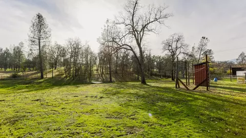 11731 Milton Park Ln, Redding, CA 96003 photo 32