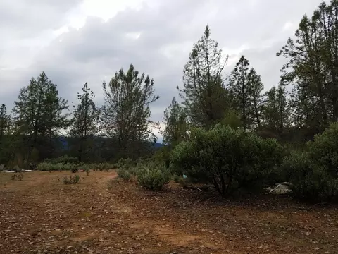 16105 Shasta St, Redding, CA 96001 photo 9
