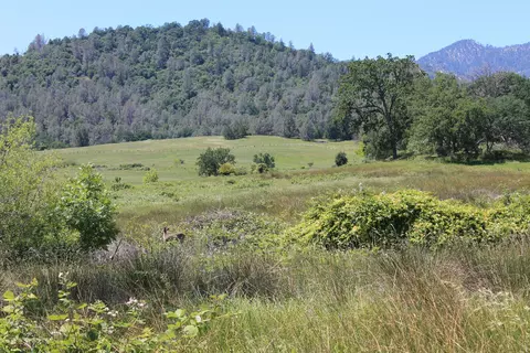 6668 Placer Rd, Igo, CA 96047 photo 5