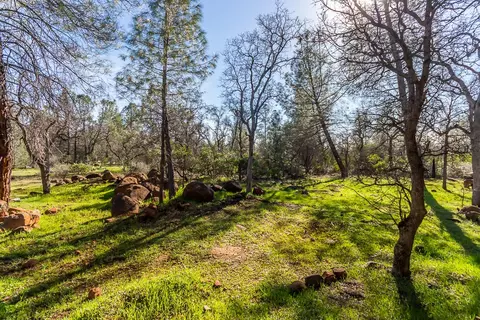 25657 Cherith Brook Dr, Shingletown, CA 96088 photo 28
