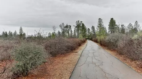 28705 Hwy 44, Shingletown, CA 96088 photo 21