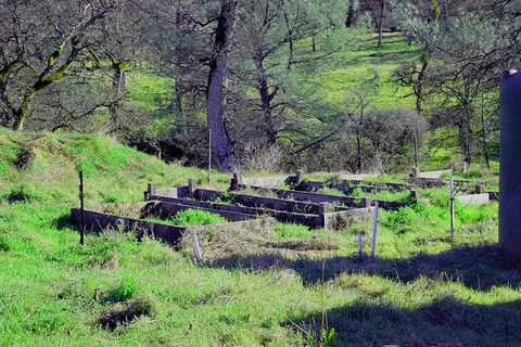 28899 Whitmore Rd, Whitmore, CA 96096 photo 38