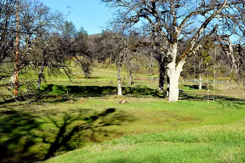 28899 Whitmore Rd, Whitmore, CA 96096 photo 34
