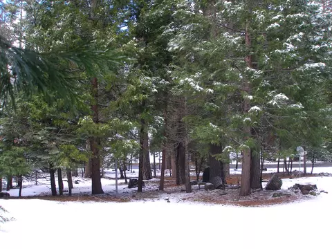 30769 Bambi Dr, Shingletown, CA 96088 photo 5