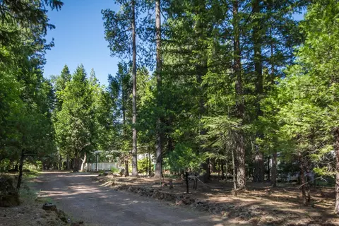 30769 Bambi Dr, Shingletown, CA 96088 photo 19