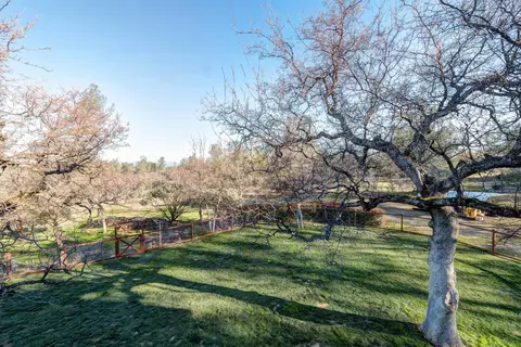 25650 Cherith Brook Dr, Shingletown, CA 96088 photo 29