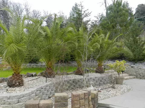 5554 Jan Ct, Redding, CA 96003 photo 36