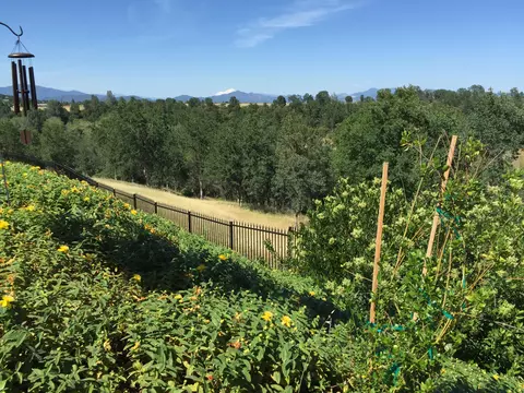 2385 Dream St, Redding, CA 96001 photo 34