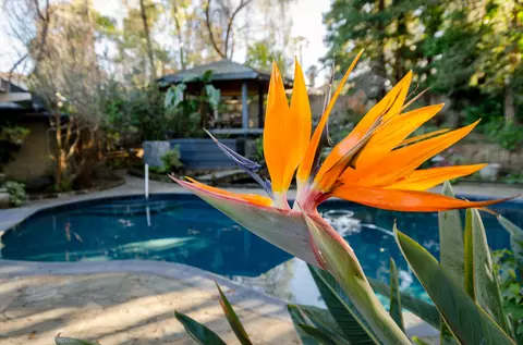 1628 Orange Ave, Redding, CA 96001 photo 32