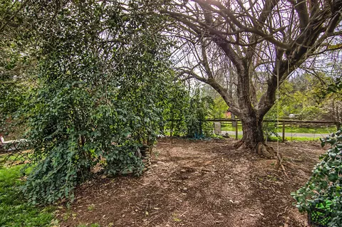 19397 Anna Rd, Anderson, CA 96007 photo 28
