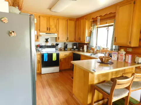 21751 Shadow Ln, Burney, CA 96013 photo 9