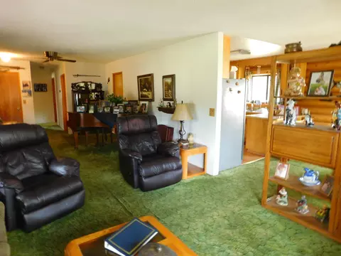 21751 Shadow Ln, Burney, CA 96013 photo 7
