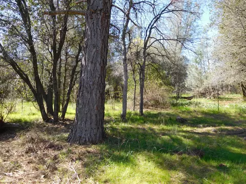 6644 Clement Ct, Anderson, CA 96007 photo 15