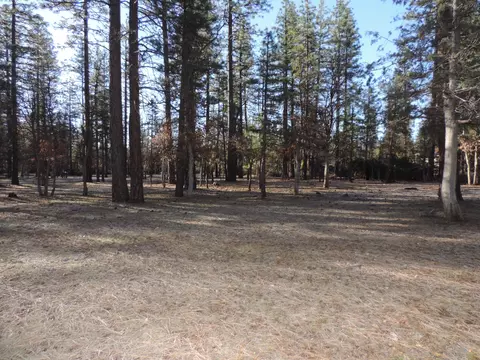23407 Sand Pit Rd, Cassel, CA 96016 photo 7