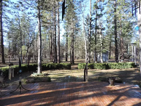 23407 Sand Pit Rd, Cassel, CA 96016 photo 47