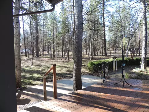 23407 Sand Pit Rd, Cassel, CA 96016 photo 48