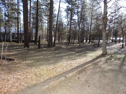 23407 Sand Pit Rd, Cassel, CA 96016 photo 6