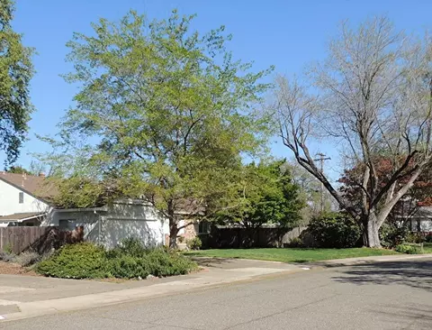 710 Lincoln St, Redding, CA 96001 photo 48
