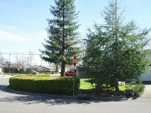 2141 Wilder Dr, Redding, CA 96001 photo 44