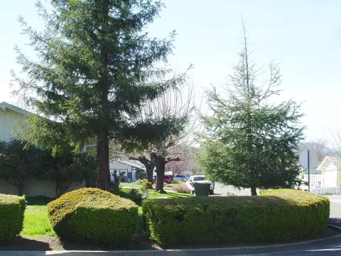 2141 Wilder Dr, Redding, CA 96001 photo 45
