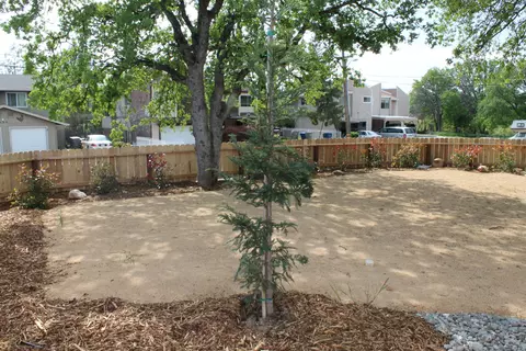 535 Buckeye Ter, Redding, CA 96003 photo 5