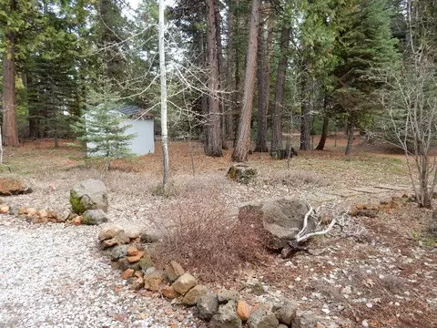 8100 Sky Tree Ln, Shingletown, CA 96088 photo 2
