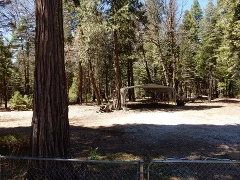 8100 Sky Tree Ln, Shingletown, CA 96088 photo 18