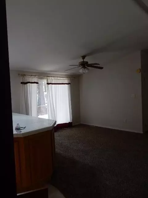 8100 Sky Tree Ln, Shingletown, CA 96088 photo 6